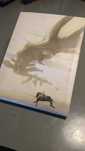 Gra SHADOW OF THE COLOSSUS Limited Edition Sony PlayStation 2 [PS2]