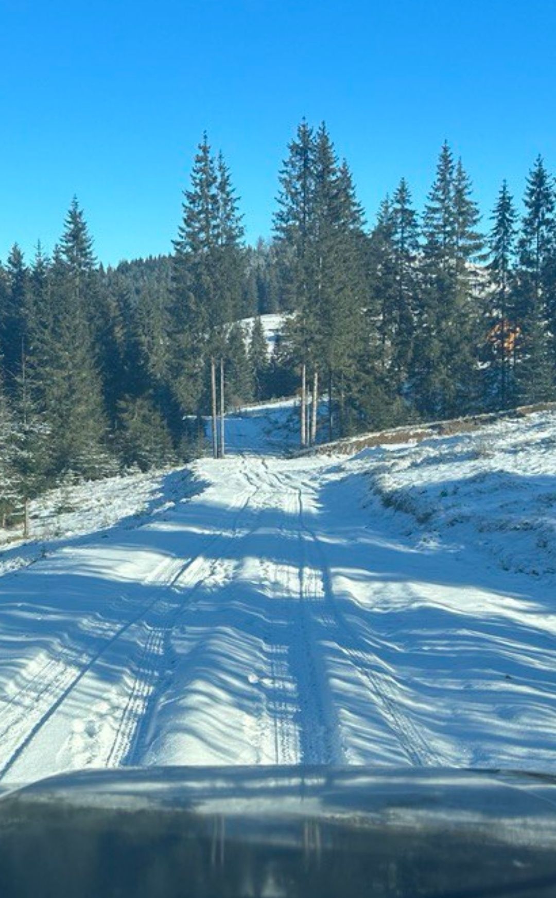 Земельна ділянка, Яблуниця, Буковель