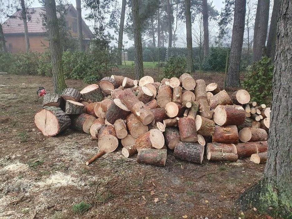 drewno opałowe opał sosna świerk daglezja modrzew orzech brzoza