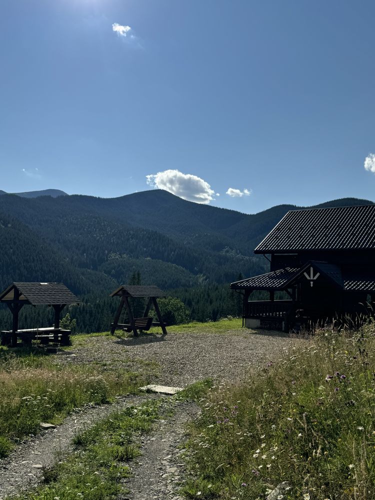 Відпочинок в Карпатах. Будинок з краєводом. Вілла в оточенні гір!