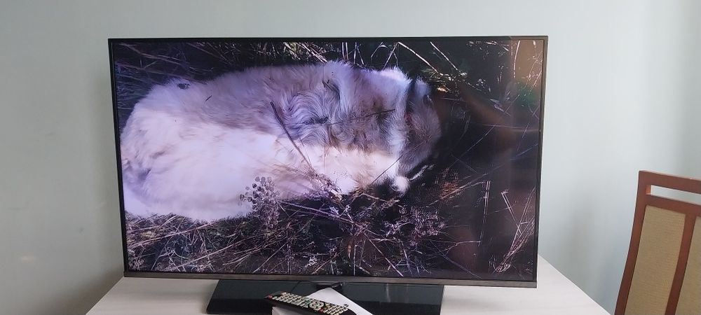 TV LED Samsung 40" FHD /UE 40H5000 / Pilot, Kabel, Podstawa..