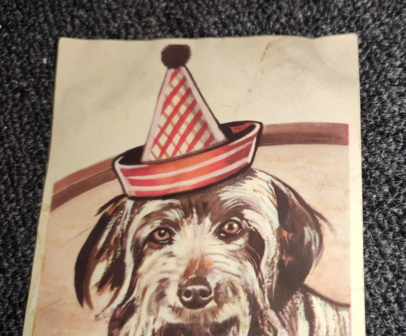 Pocztówka kartka stara pies puppy il faut que je sois toujours joyeux