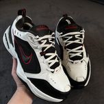 Чоловічі кросівки Nike air Monarch. P. 42.