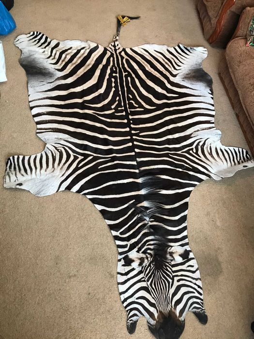 шкіра зебри з ПАР/ шкура зебры из ЮАР