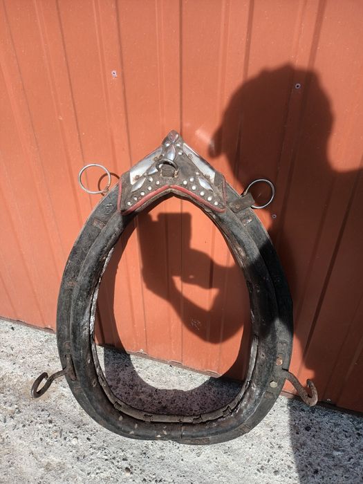 Homonto na dużego konia