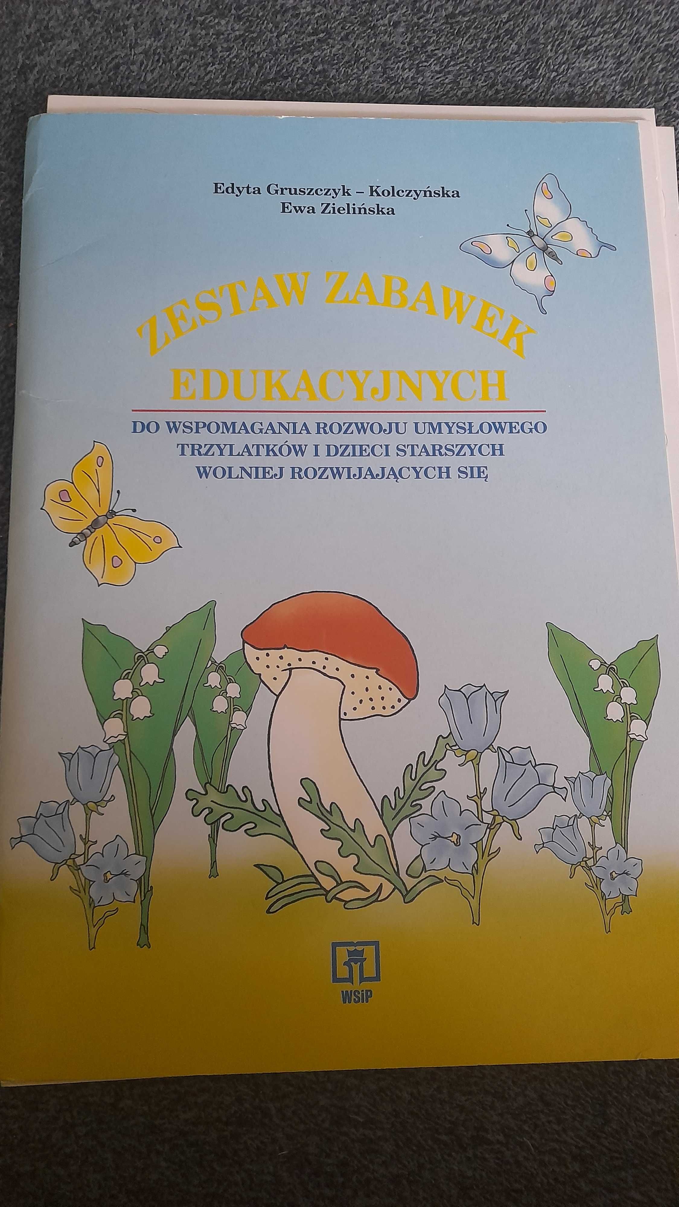 Książka zestaw zabawek edukacyjnych Edyta Gruszczyk-Kolczyńska