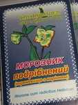 Морозник кавказский