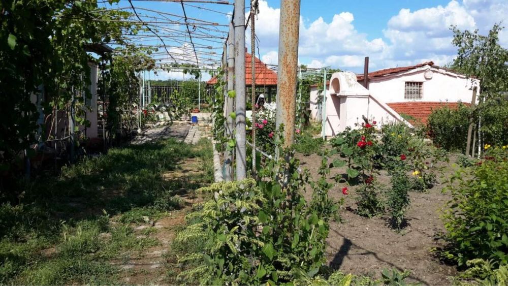Продам будинок з земельною ділянкою
