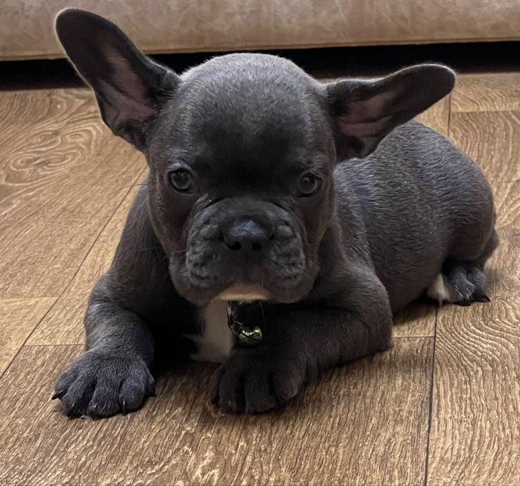 Дівчинка та хлопчик