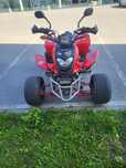 Quad sharney 250