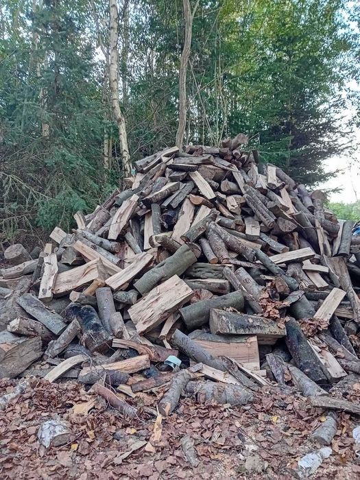 Drewno kominkowe opałowe buk dąb brzoza wierzba olcha