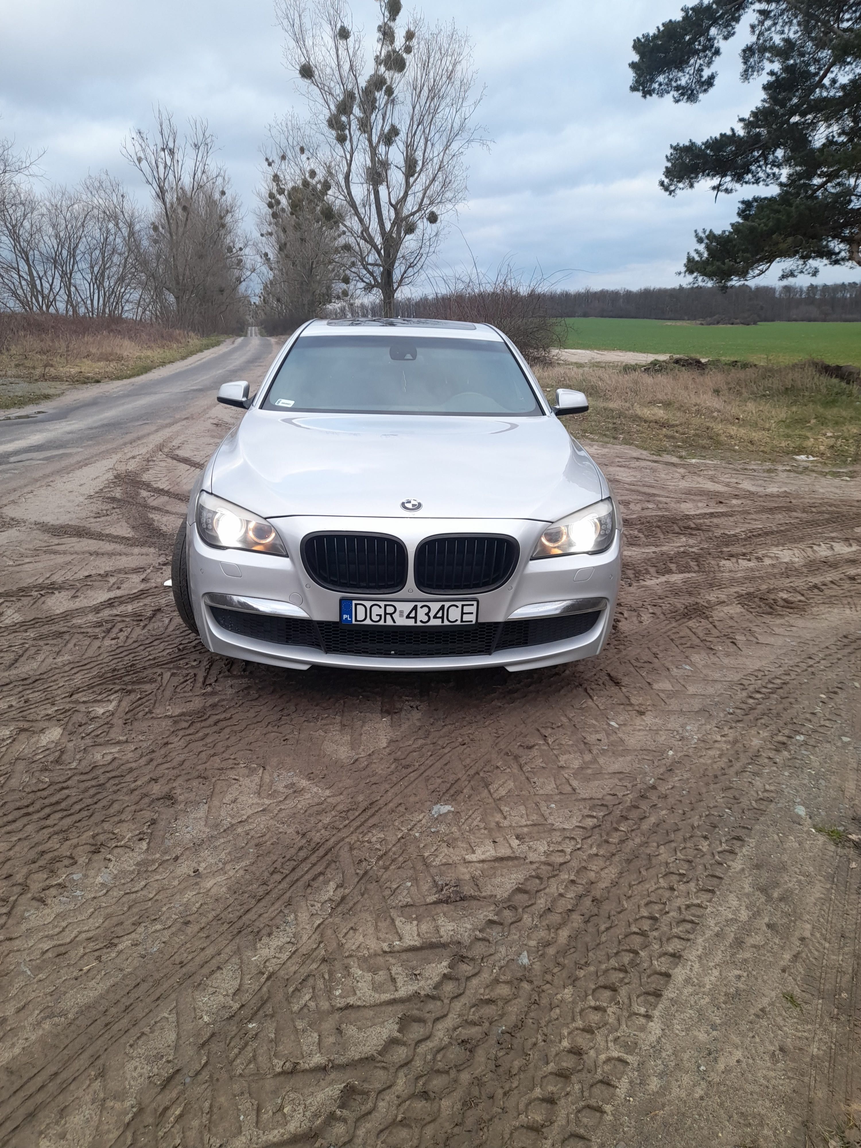 BMW seria 7 BMW f01 3.0d
