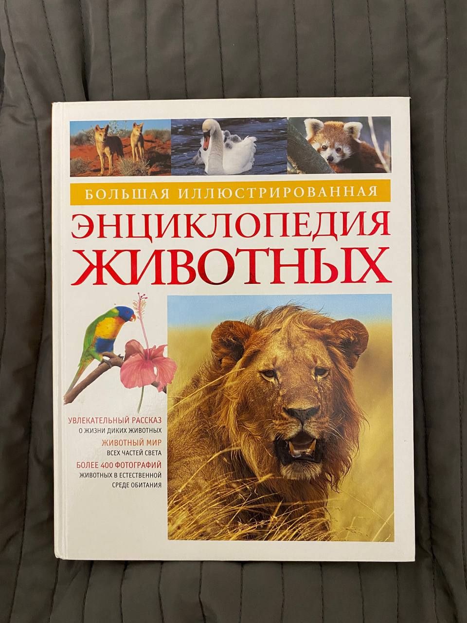 Большая илюстрированная энциклопедия животных