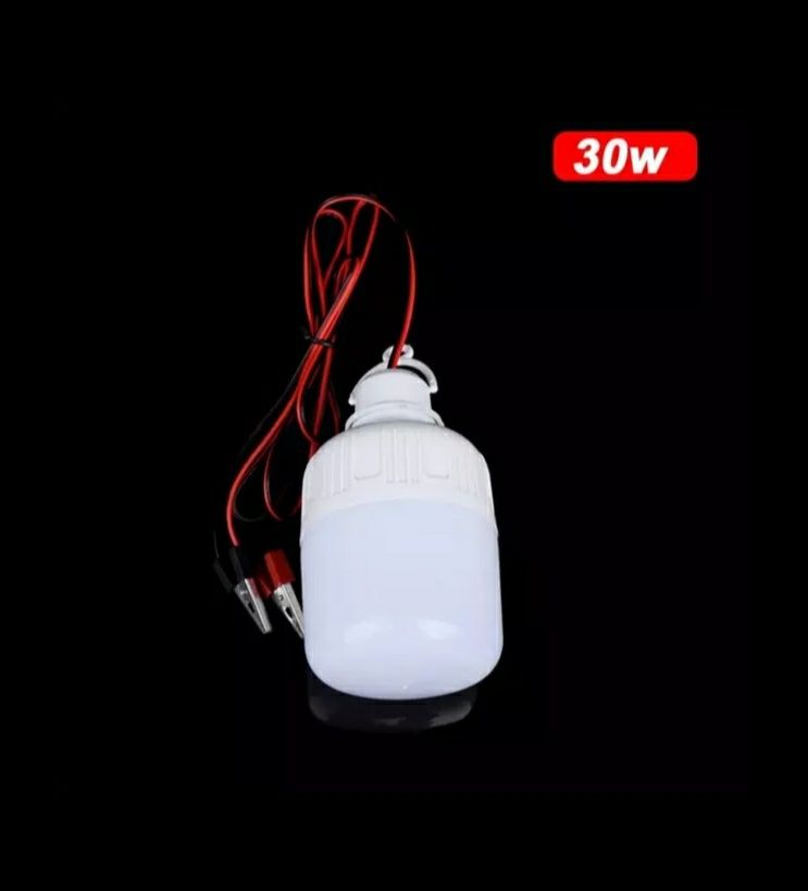 LED лампа 12V/30W з проводом i зажимами (крокодили)