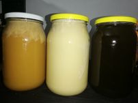 Miód pszczeli z własnej pasieki lipowy spadziowy wiosenny