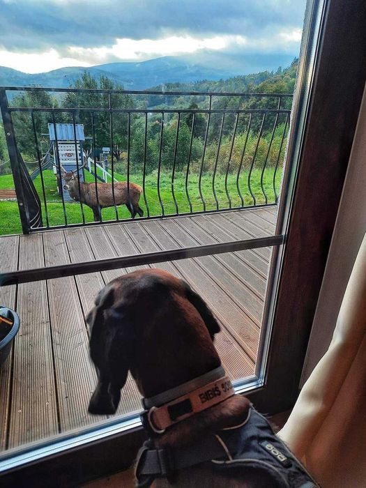 Domki w Szklarskiej Porębie z widokiem na panoramę gór
