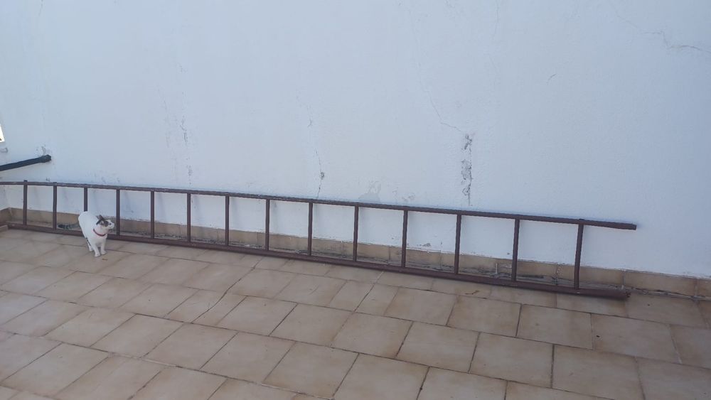 Escada em ferro com 4,95mt