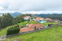Terreno Urbanizável com 2450 m2 na Camacha, Santa Cruz