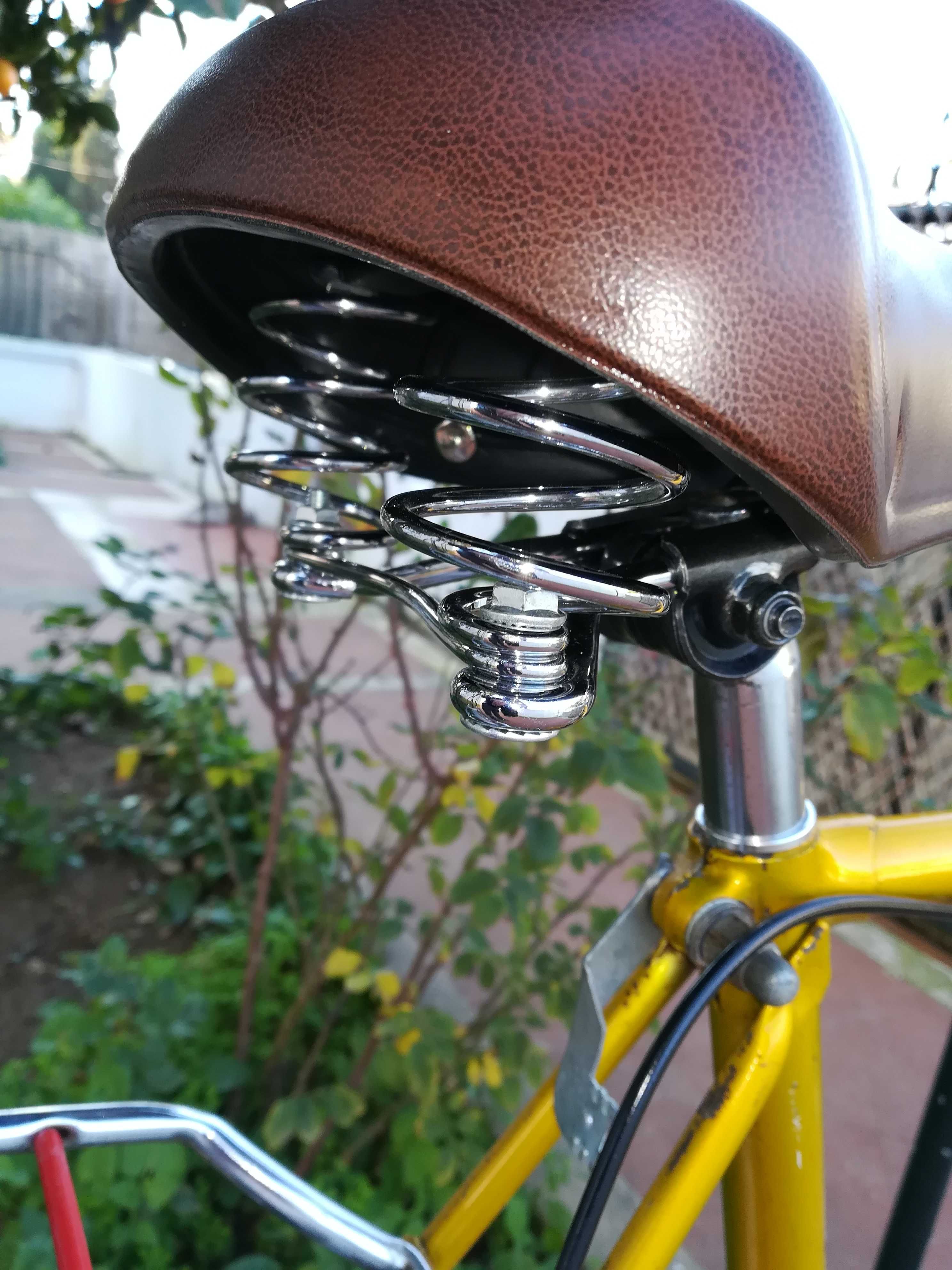 Bicicleta Pasteleira Holandesa 6x1 speed