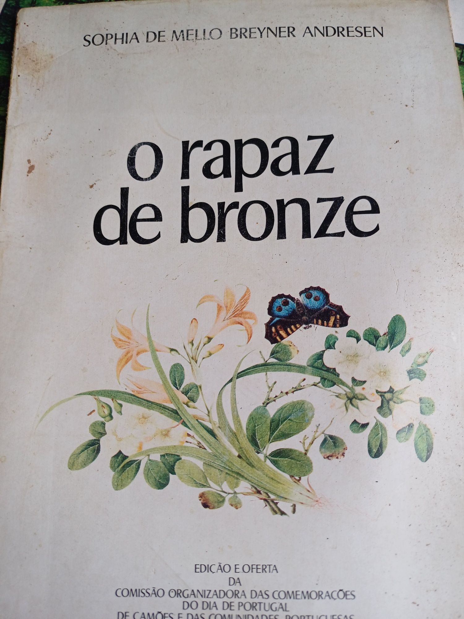 Livro rapaz de bronze