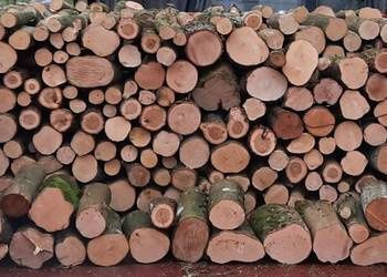 Tanie drewno opałowe