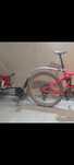 Atrelado bicicleta para crianças