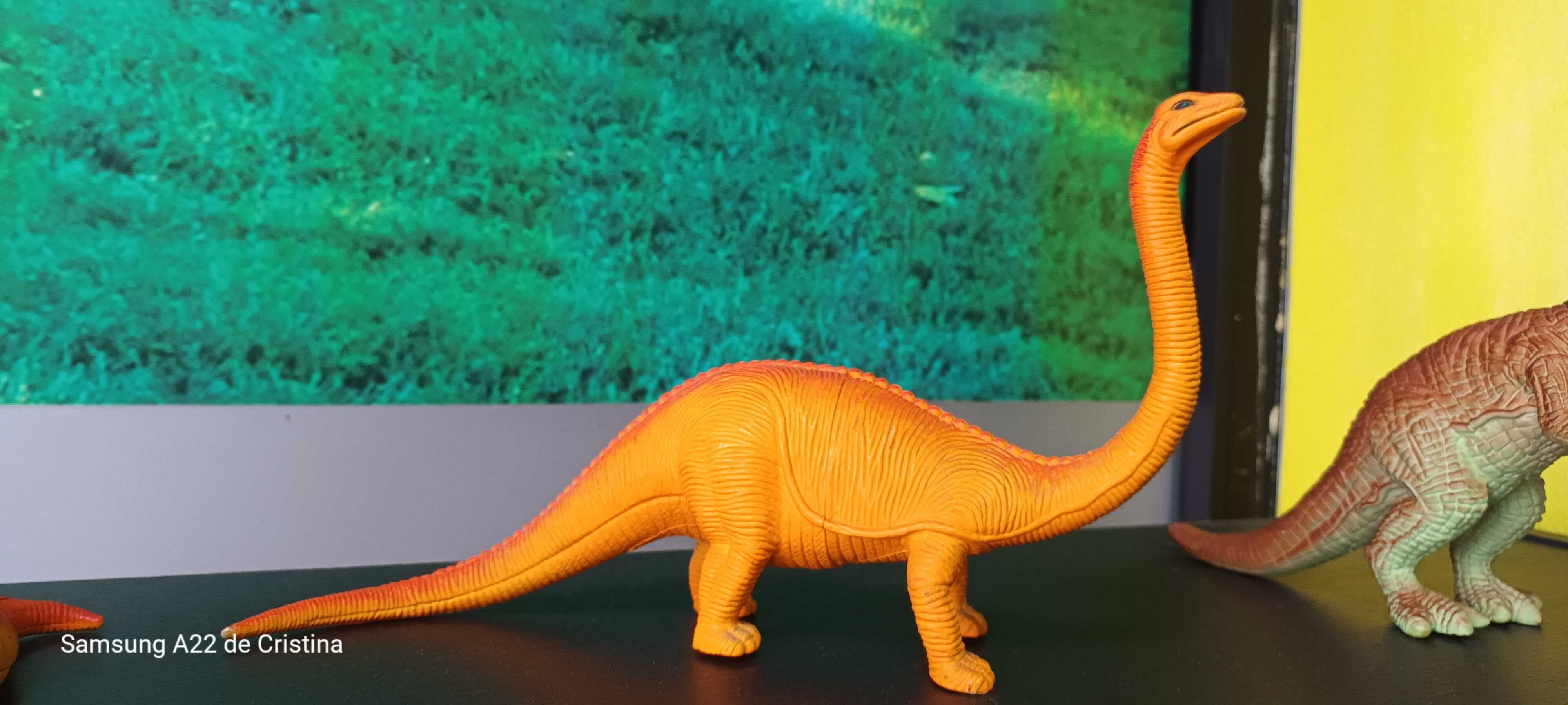 Dinossauros  colecção