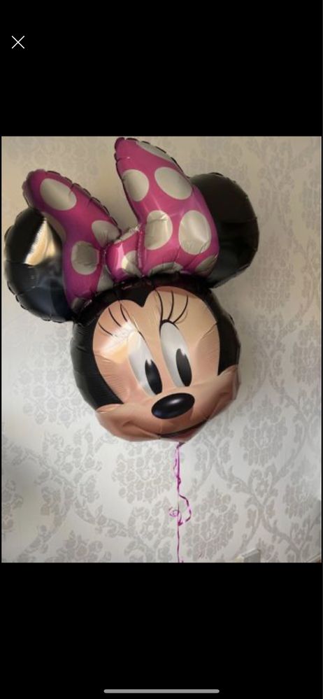 BalAo cara da minnie