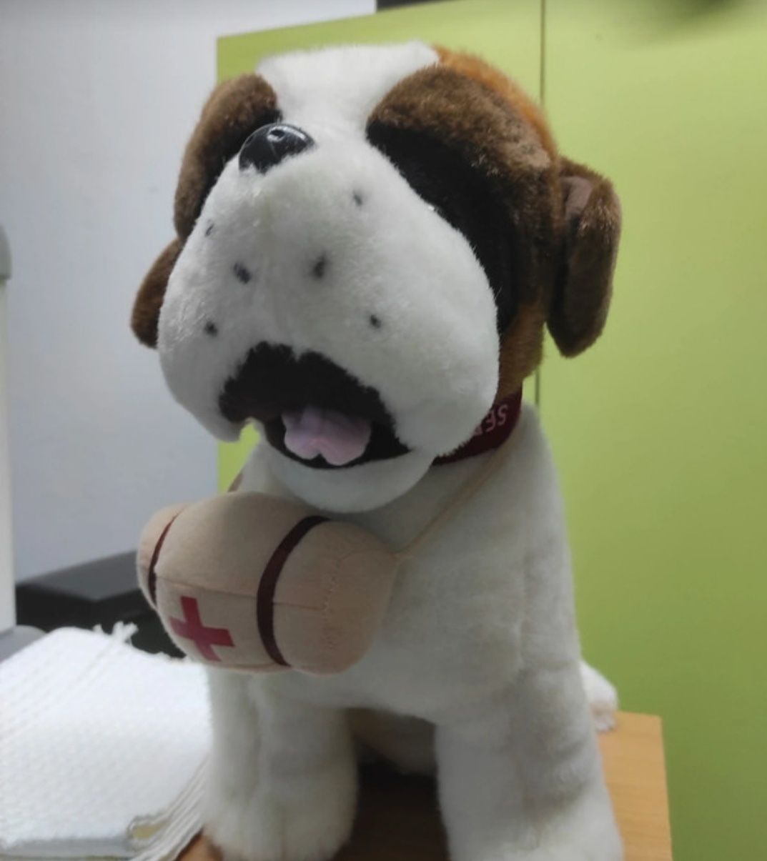 Cão peluche são Bernardo