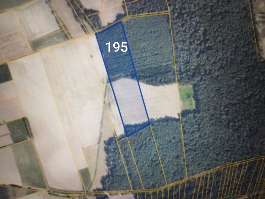 Sprzedam ziemię rolną i las 3,05 ha. Targonie.