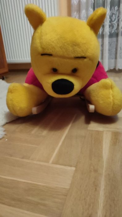 Kubuś Puchatek na biegunach