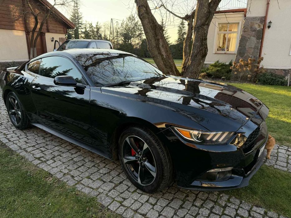 Mustang 2.3 ecoboost 2016 automat