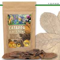 Catappa leaf stick/ pałeczki z liśći catappa/Bojowniki/Betta