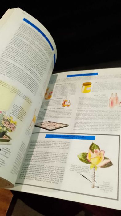 Rosas - Manual de cultivo y conservación - Dr. D. G. Hessayon