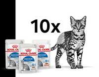 Royal Canin 10x 85g + Gratis, Sterilised Saszetki dla Kota Sterlized