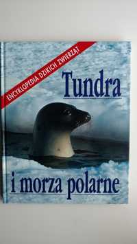 Tundra i morza polarne Encyklopedia dzikich zwierząt