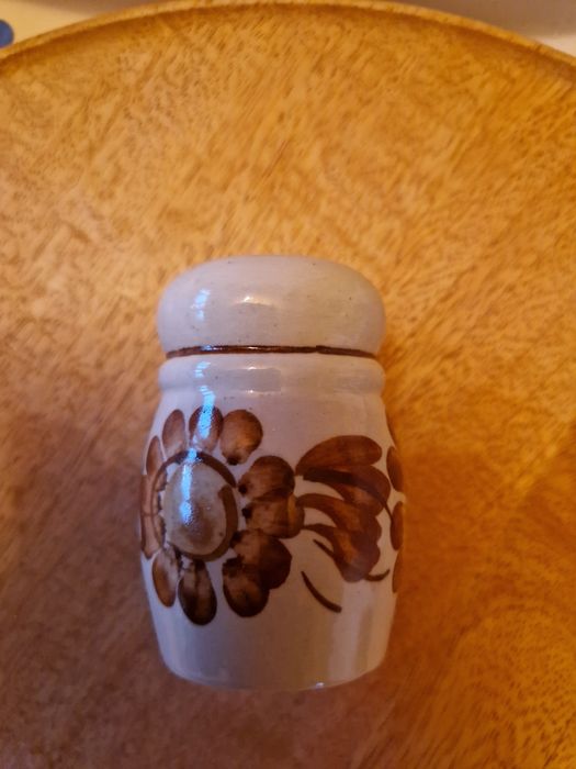 Solniczka Włocławek