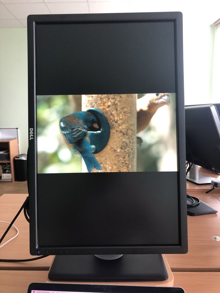 Монітор 24" Dell U2412M Black IPS