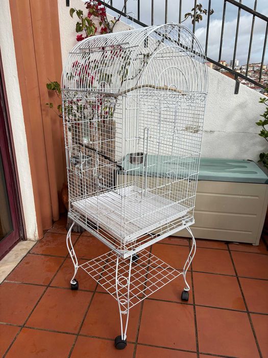 gaiola para pássaros