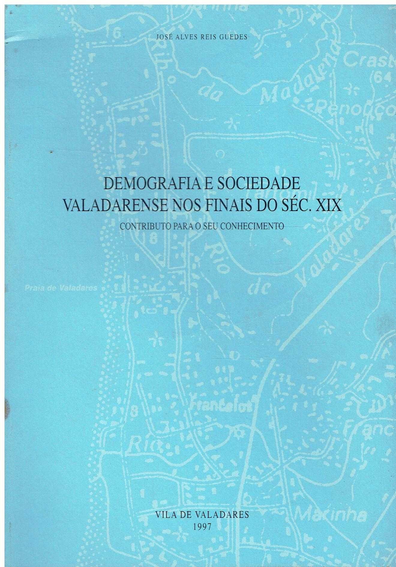 Demografia e sociedade valadarense nos finais do séc. XIX