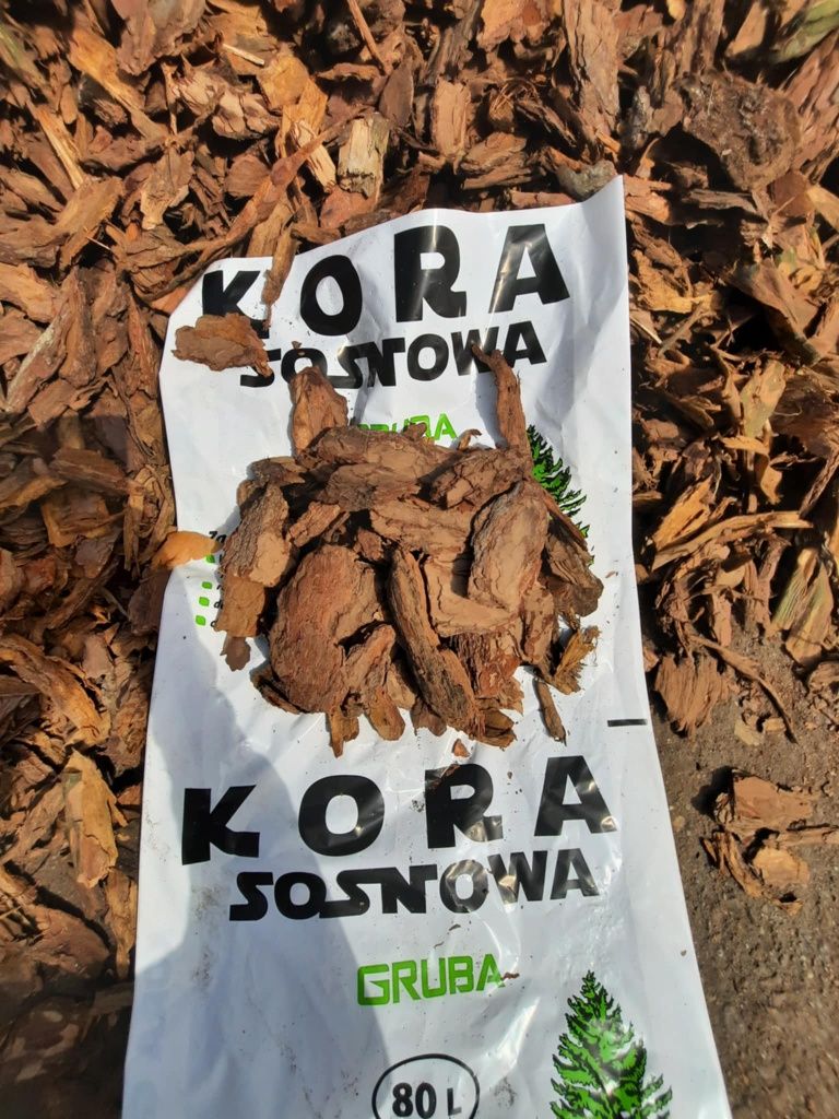 PRODUCENT Kora sosnowa 80L bardzo ładna dostawa gratis.