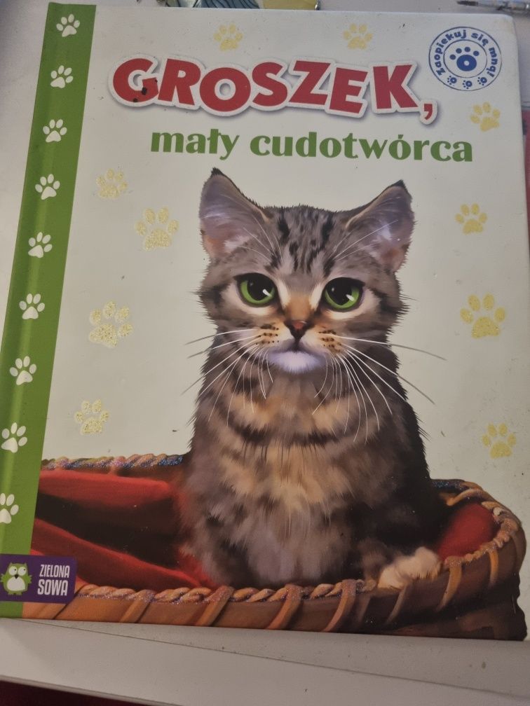 Groszek, mały cudotwórca