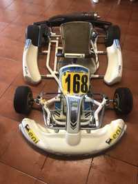 Kart Ricciardo c28