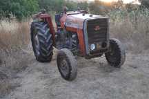 TRACTOR massey Ferguson 245