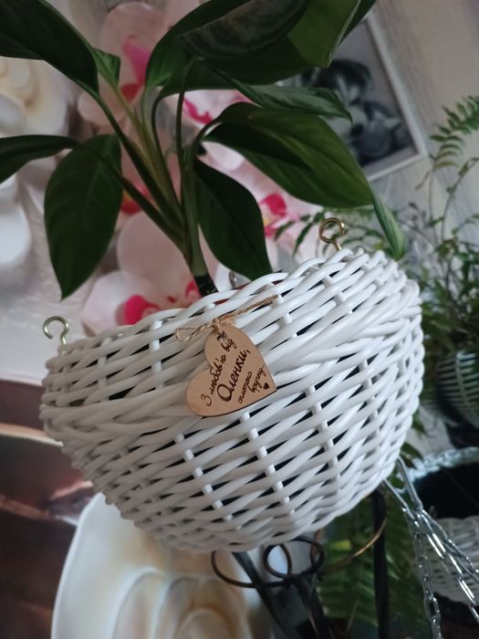 Вазони, кашпо з ротангу, власного плетіння