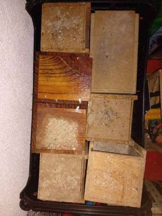 Ninhos, Comedouros e Porta Juta Para Aves