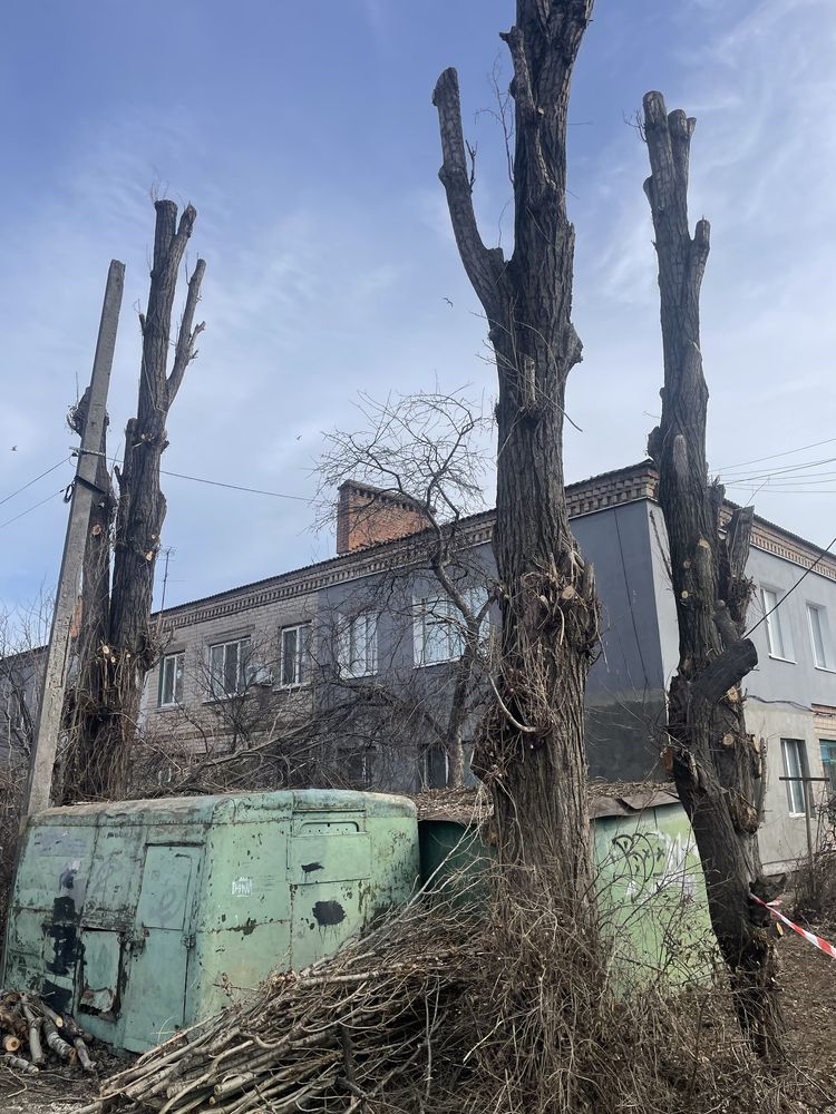 Спил,обрезка деревьев любой сложности