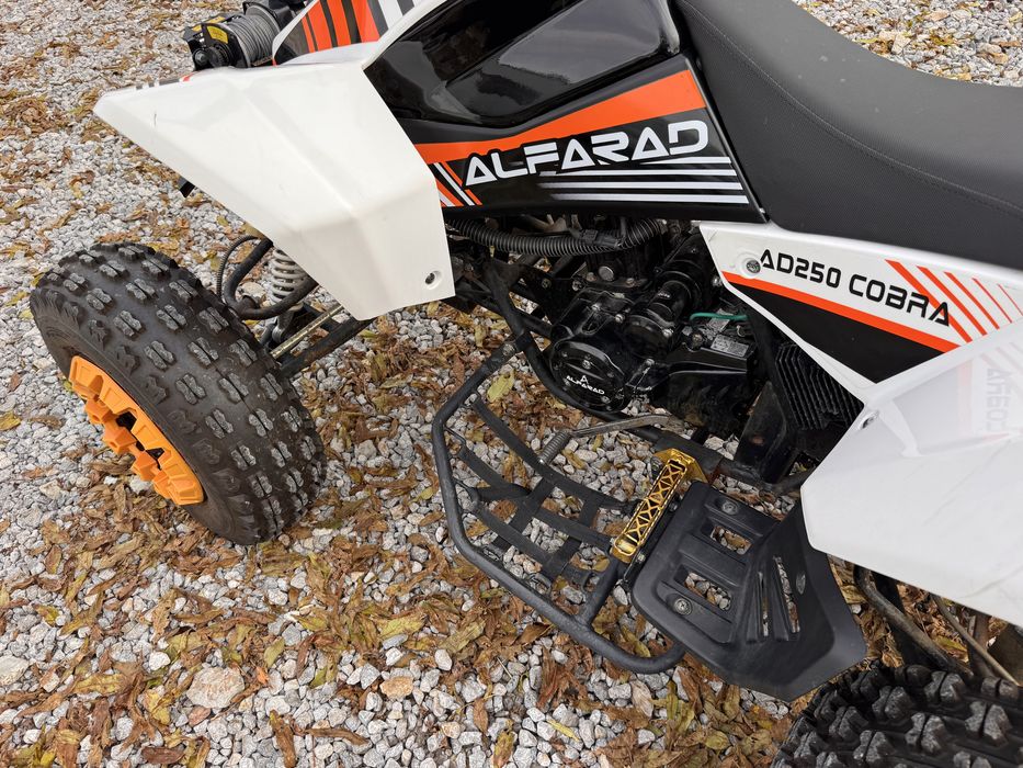 Quad Alfarad 250 cobra 300km*Pierwsze rece*Zarejestrowany*