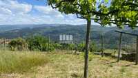 Venda Terreno, São Lourenço do Douro, Marco de Canaveses