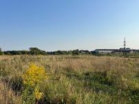 Земельна ділянка 9 соток біля лісу та річки – ідеальне місце!